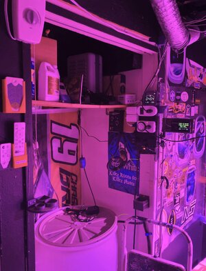 IMG_4180[1].jpeg