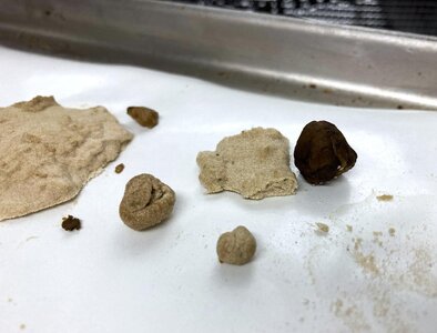 IMG_4225[1].jpeg