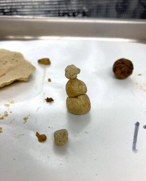 IMG_4231[1].jpeg