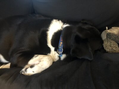 80139743457__D346B002-1D17-4718-A24F-027AAC632203.jpeg