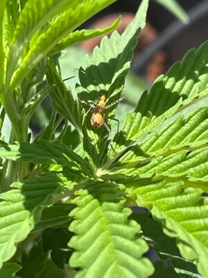 IMG_5023.jpeg