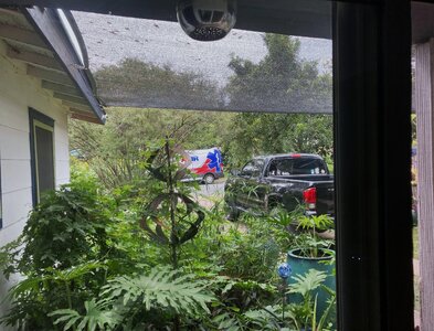IMG_4266[1].jpeg