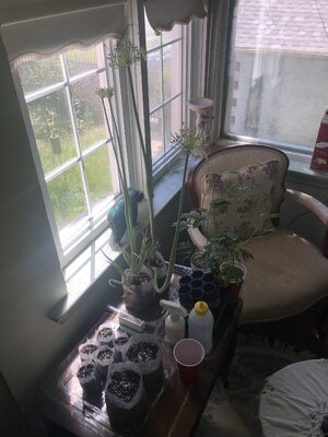 IMG_0557.jpeg IMG_0557.jpeg