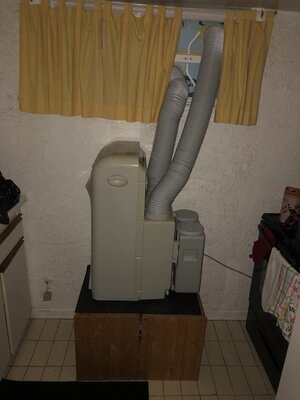 IMG_0529.jpeg IMG_0529.jpeg