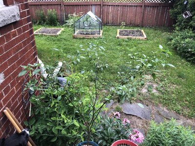 IMG_0577.jpeg IMG_0577.jpeg