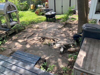 IMG_4302[1].jpeg