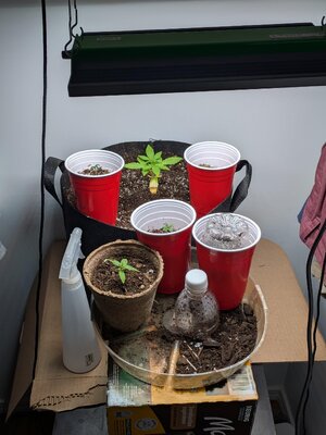 Week 3 - The setup.jpg
