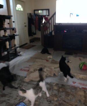 IMG_7551.jpeg