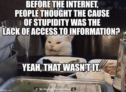 1782672816033.png
