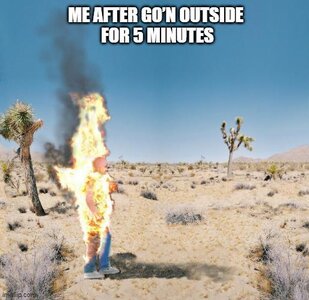 IMG_0972.jpeg