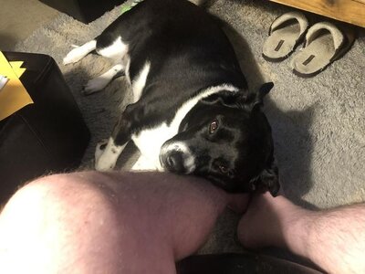 IMG_0966.jpeg IMG_0966.jpeg