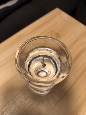 IMG_1113.jpeg