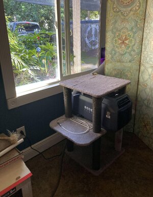 IMG_4520[1].jpeg