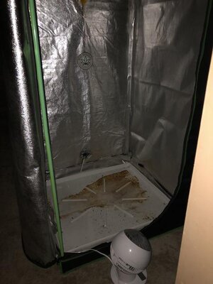 IMG_1165.jpeg IMG_1165.jpeg