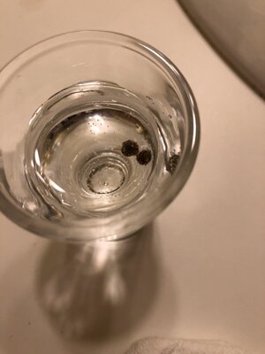 IMG_1171.jpeg