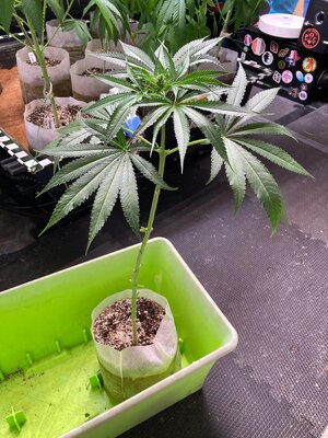 IMG_4566[1].jpeg