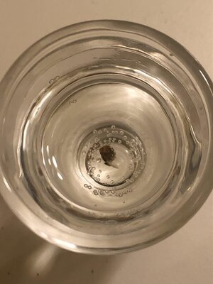 IMG_1216.jpeg