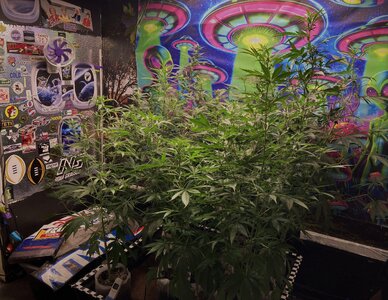 IMG_4618[1].jpeg