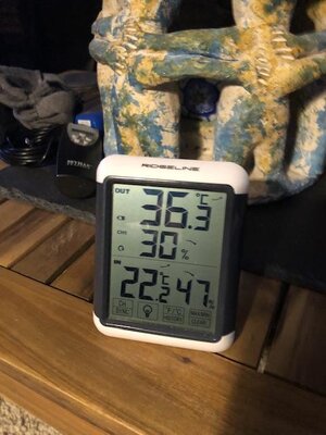 IMG_1331.jpeg
