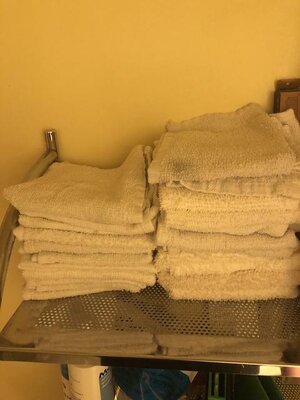 IMG_1346.jpeg IMG_1346.jpeg