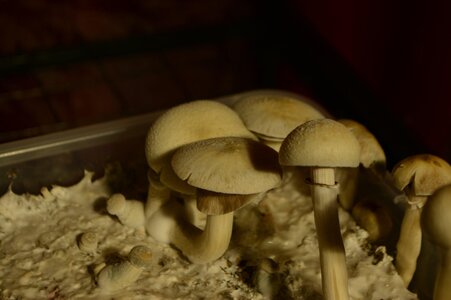 DSC_0318.JPG DSC_0318.JPG