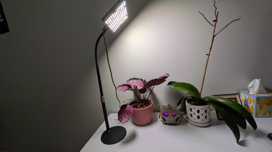 PXL_20260717_140133406.jpg