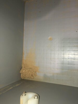IMG_1468.jpeg IMG_1468.jpeg