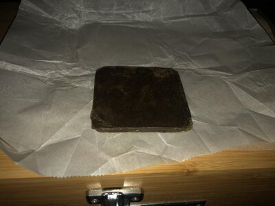 IMG_1488.jpeg IMG_1488.jpeg