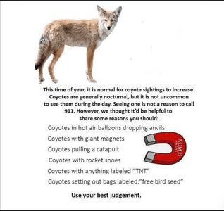 749354542_10227292294812924_4579419446437479506_n.png 749354542_10227292294812924_4579419446437479506_n.png