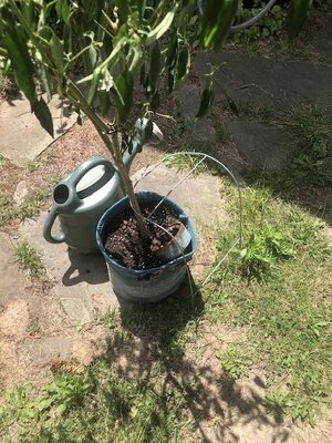 IMG_1618.jpeg