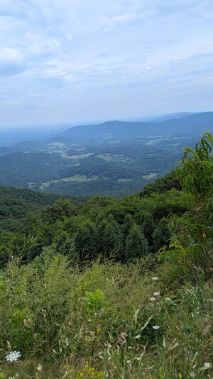 PXL_20260801_154335540.jpg