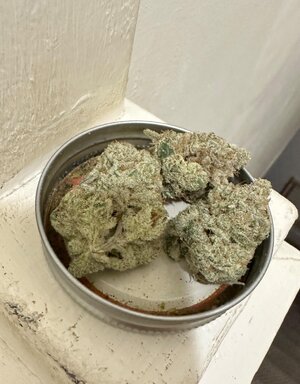 IMG_0492.jpeg