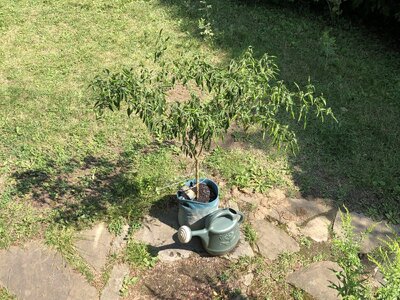 IMG_1757.jpeg IMG_1757.jpeg