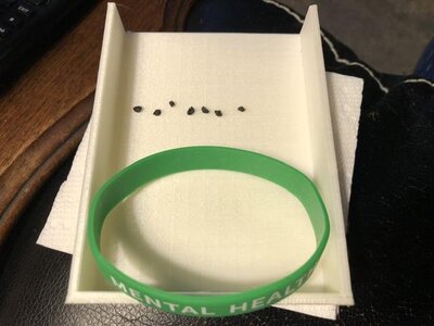 IMG_1824.jpeg