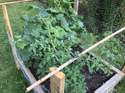 IMG_1946.jpeg