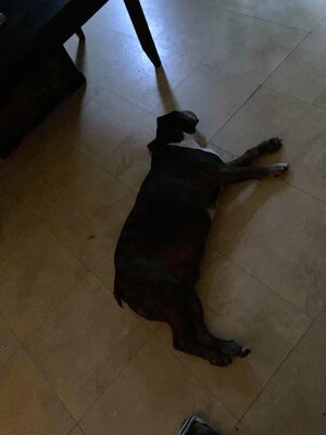 IMG_4901[1].jpeg