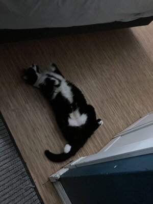 IMG_4904[1].jpeg