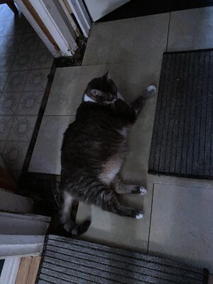 IMG_4906[1].jpeg