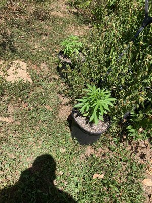 IMG_4938[1].jpeg
