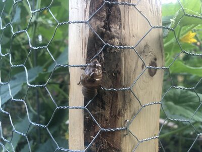 IMG_2020.jpeg