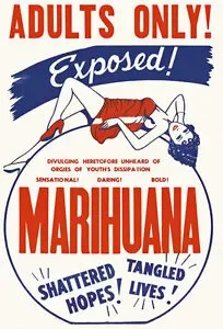 weed11.webp