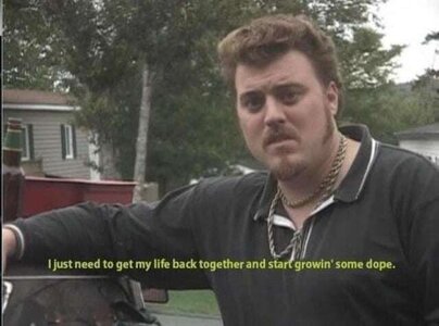 weed life.jpeg