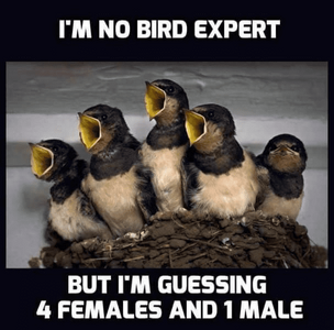 1787600098335.png