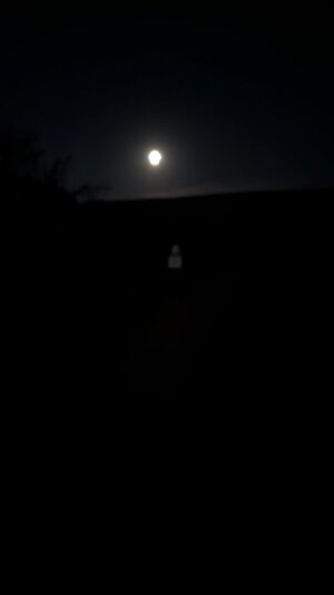 PXL_20260829_010826885.jpg