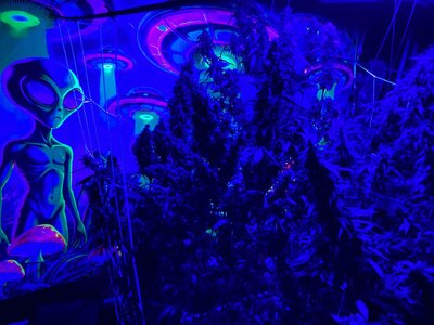 IMG_5028[1].jpeg