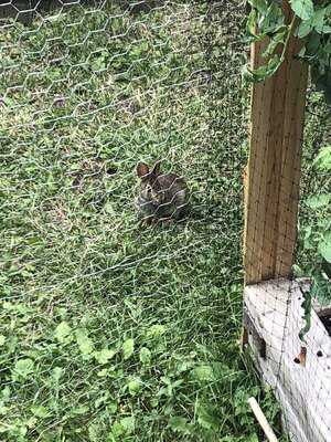 IMG_2119.jpeg