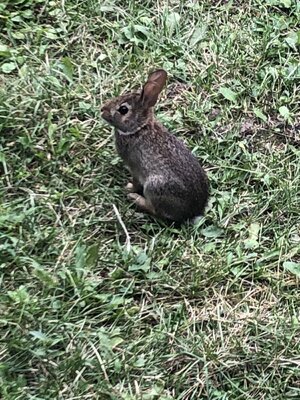 IMG_2121.jpeg