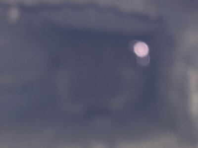IMG_2124.jpeg