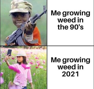 growing weed.jpeg