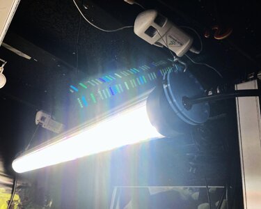 IMG_5112[1].jpeg